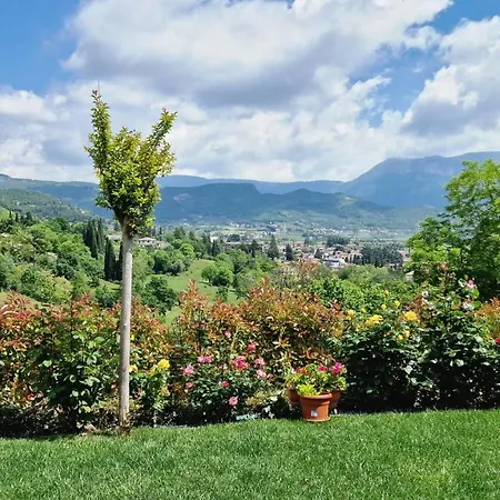 Bellavista *